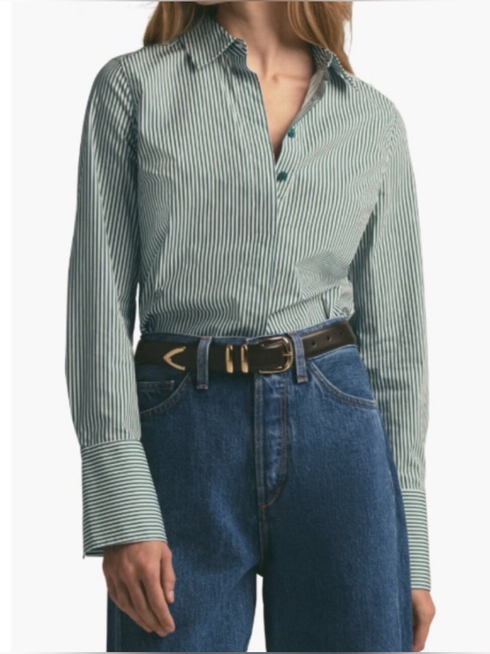 Favorite Daughter Striped classic poplin Shirt in Green and White - Picture 3 of 10